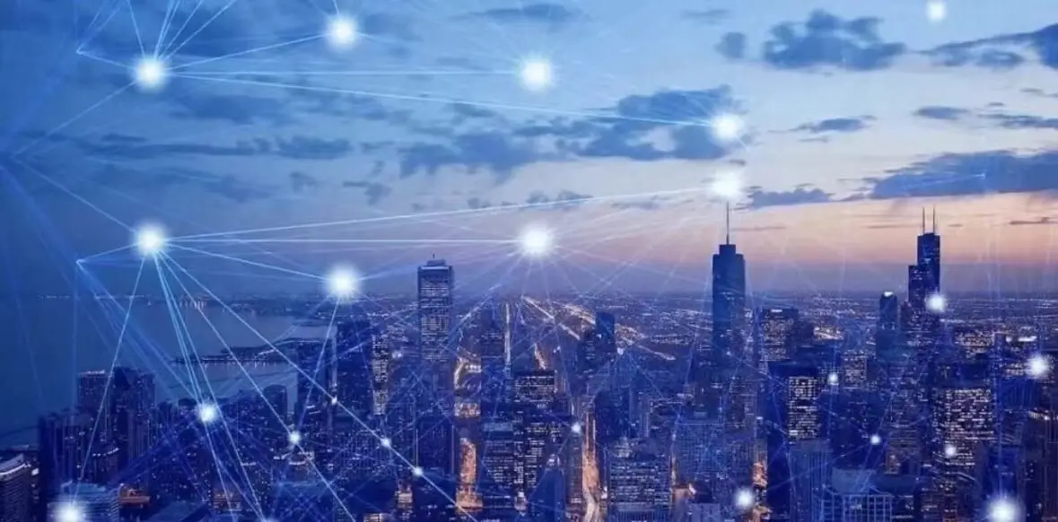 元气美食汤的做法