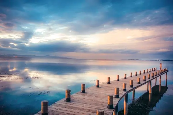 酸菜美食做法的视频