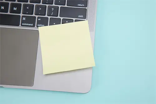 新疆蒲公英美食做法